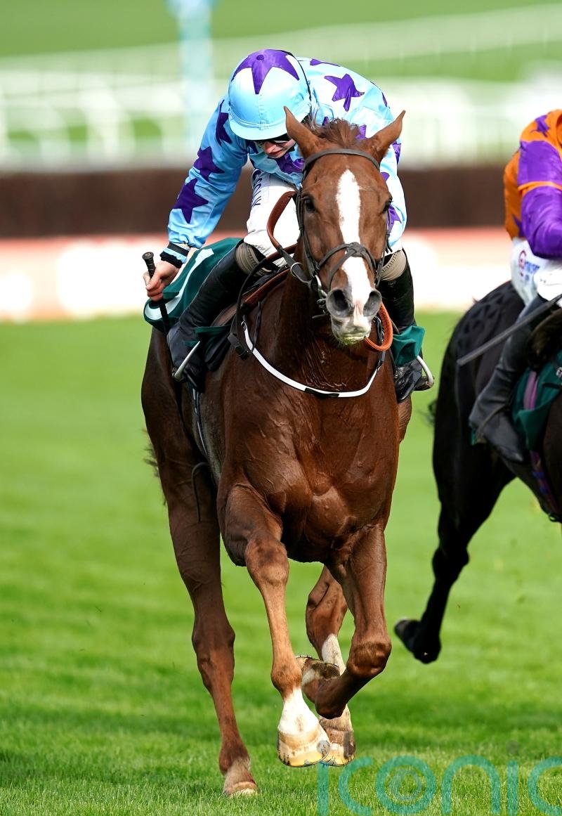 Punchestown target for Bardenstown Lad
