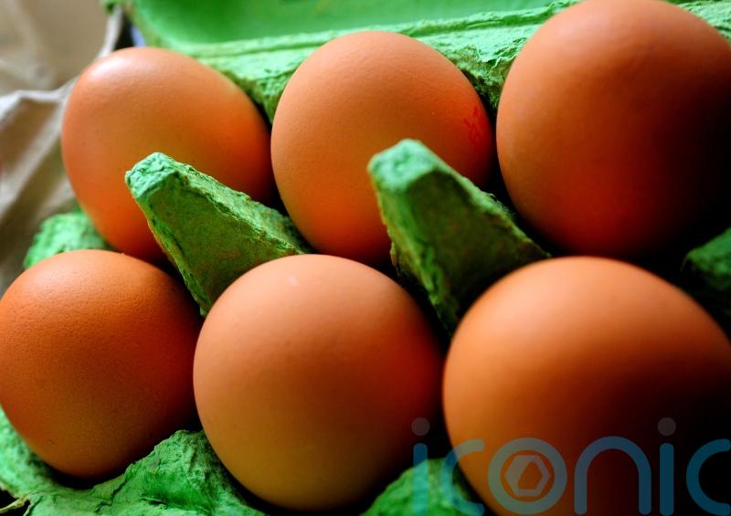Free range eggs no longer available in UK due to bird flu