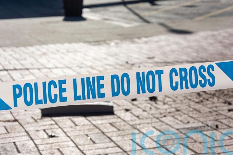 17-month-old girl killed in dog attack at her home