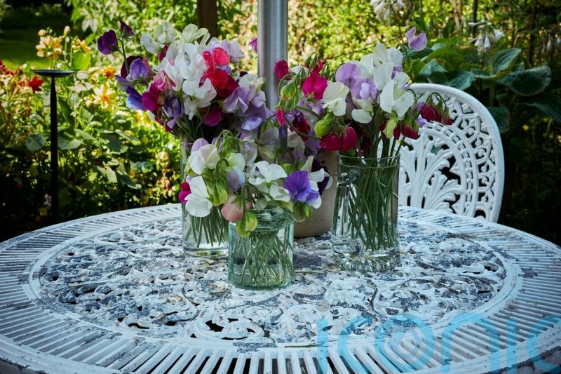 8 top tips to spruce up your garden furniture for springtime