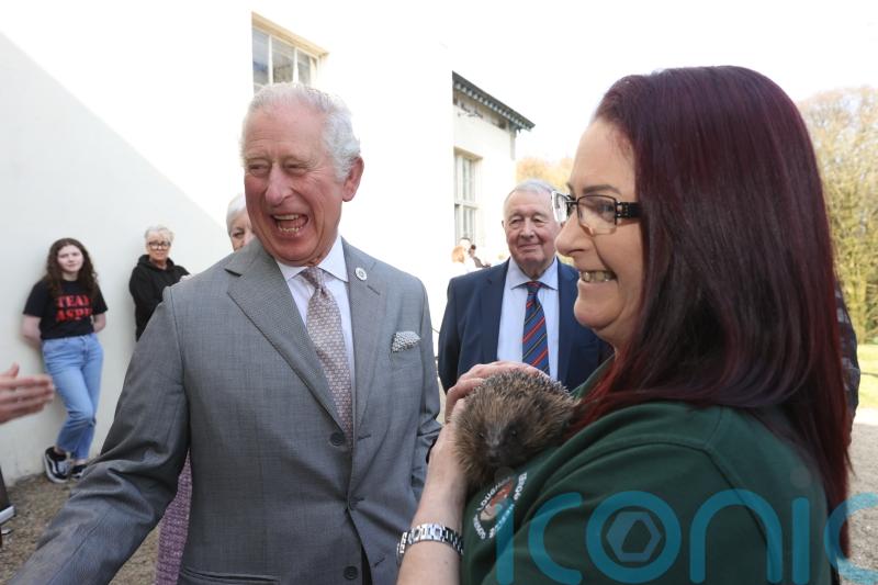 Charles shows concern for prickly pal on Northern Ireland visit