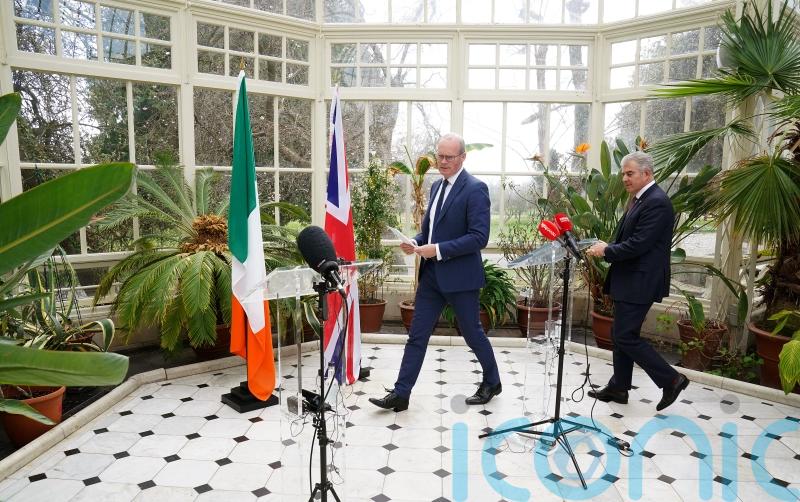 Irish Government urges UK to think again over border pass proposal