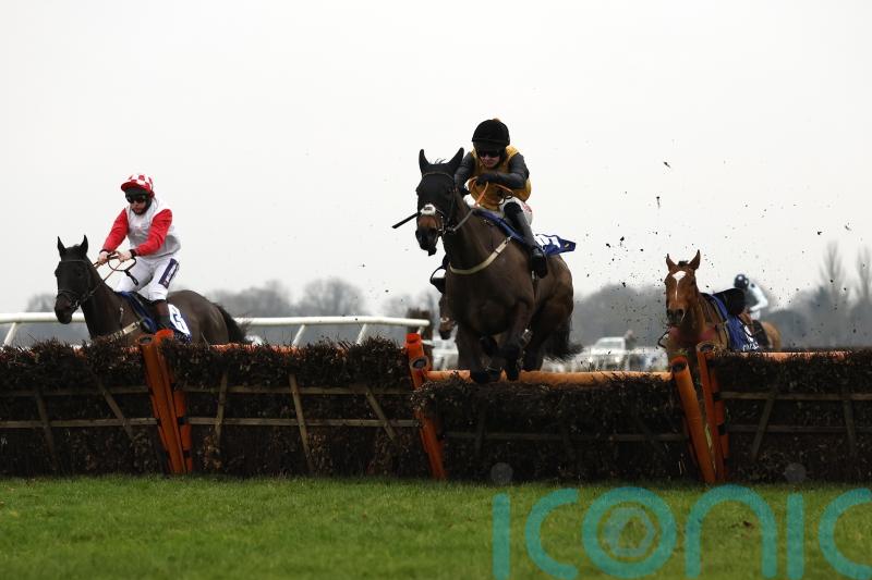 Spring festival on Cobblers Dream agenda before fences switch