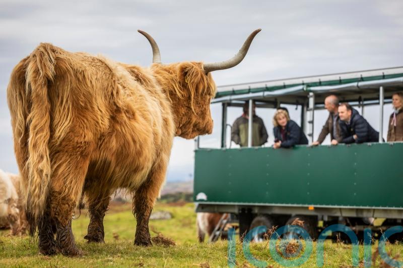 Agritourism provides major benefits for Scotland’s rural sector, research finds