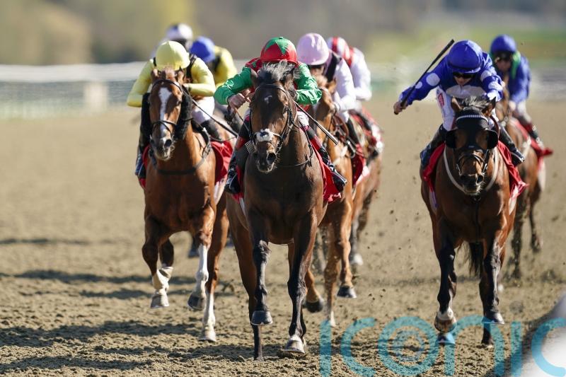 Diligent Harry out to kick off campaign with Cammidge glory
