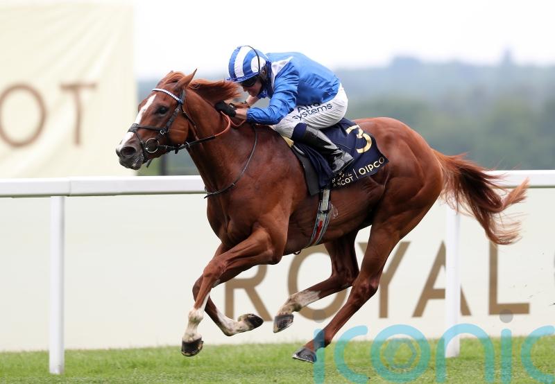 Haggas retains full faith in Mohaafeth ahead of Dubai Turf return