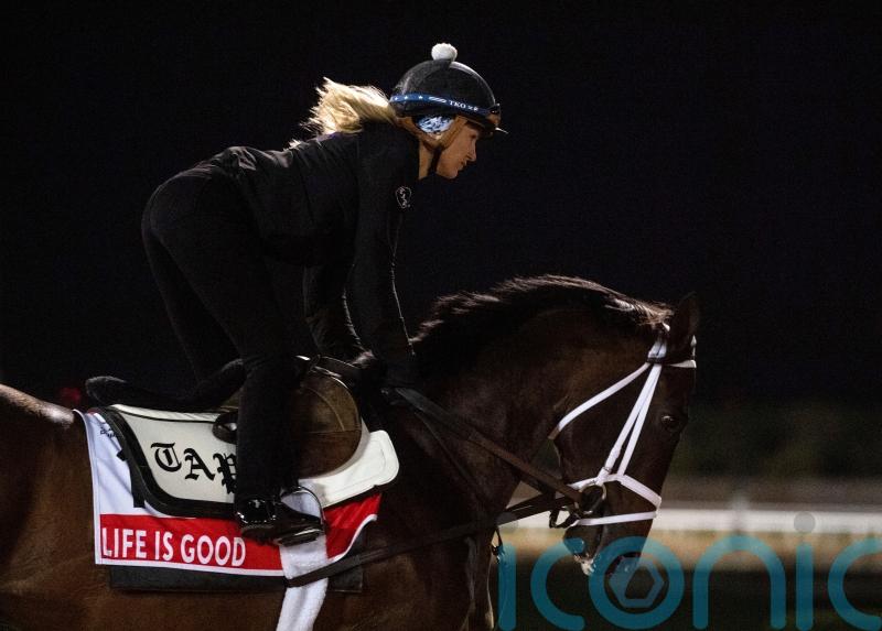 Life Is Good and Pletcher all set to rule the world