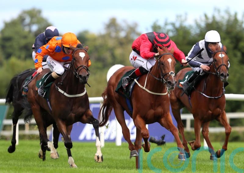 Twomey outlines Classic target for Limiti De Greccio