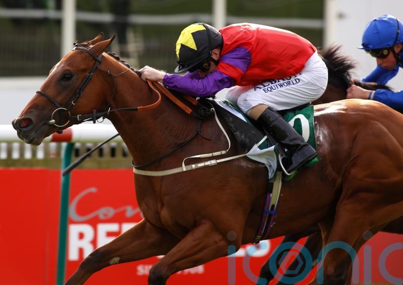 Joe Fanning pays tribute to ‘gentleman’ The Last Lion