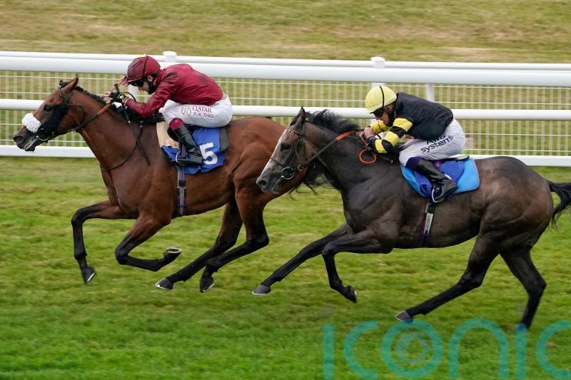 Gentleman on course for Aintree outing