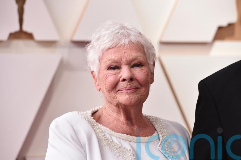 Dame Judi Dench graces Oscars red carpet on the arm of TikTok famous grandson
