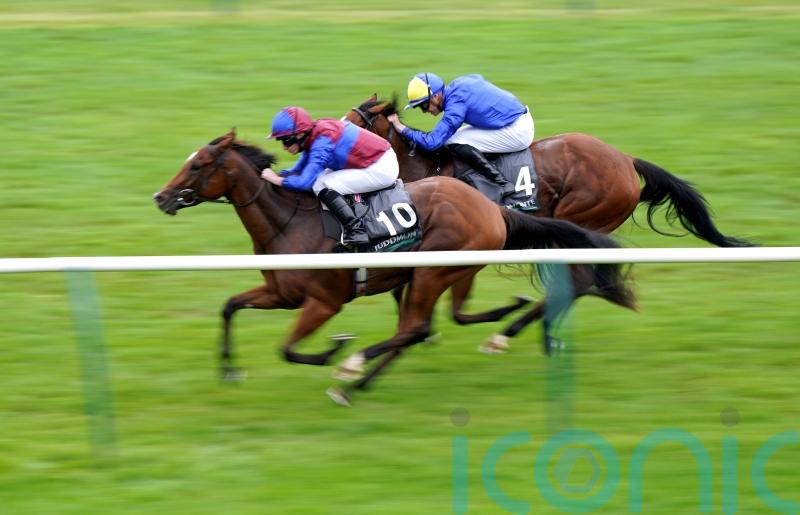 O’Brien putting his faith in Tenebrism stamina