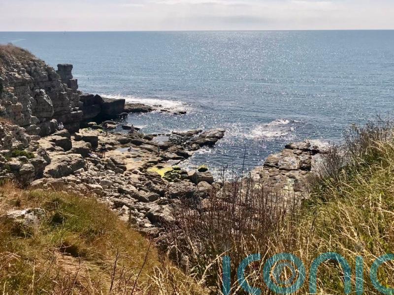 National Trust acquires 7km stretch of Dorset coastline