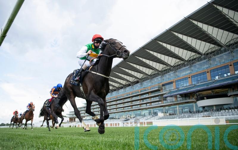 Coronation Cup defence a possible option for Pyledriver