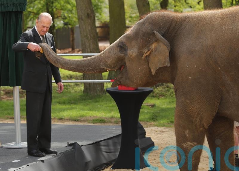 Philip’s wildlife, sporting, military and science charities among guests