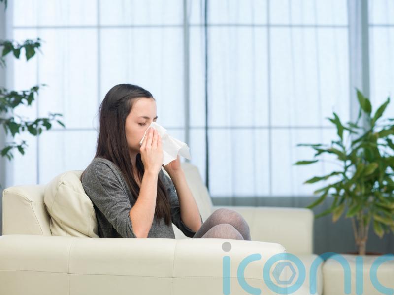 Are you allergic to your house? 5 ways to reduce allergens in your home