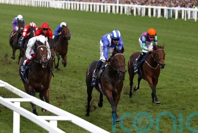 Brilliant Baaeed all set to return in Lockinge Stakes