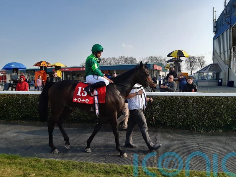 Stone Age and Wexford Native star on informative afternoon at Navan