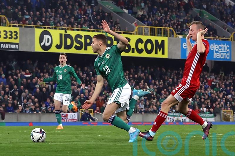 Dion Charles claims he was owed penalty prior to Hungary scoring winner