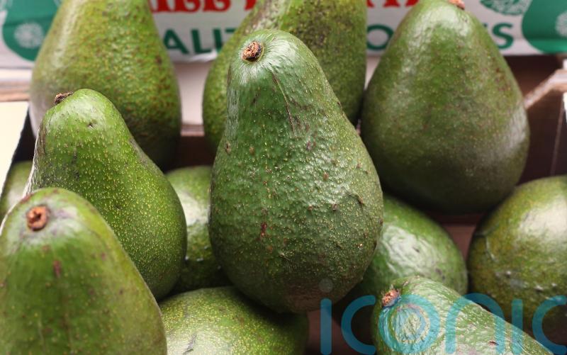Eating one avocado a week ‘cuts the risk of heart disease by a fifth’