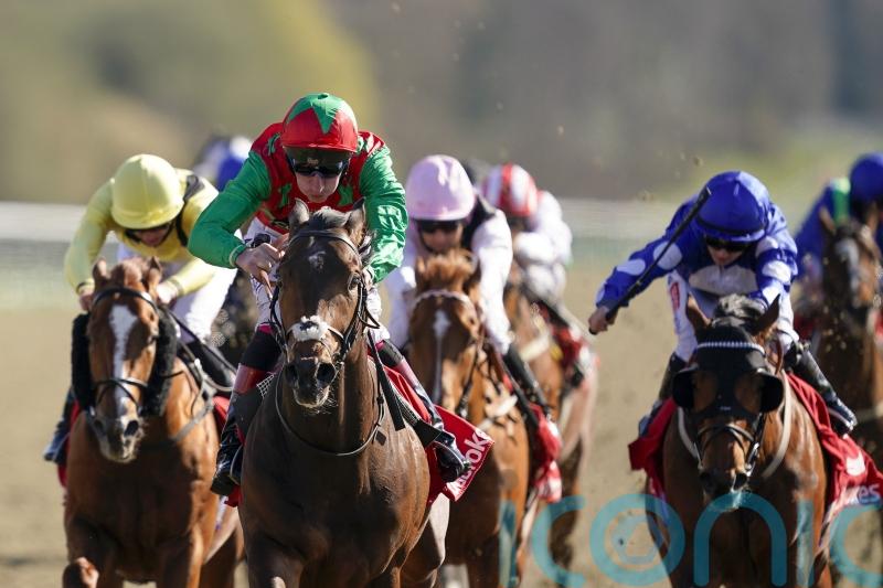 Cox anticipating improvement from Doncaster second Diligent Harry