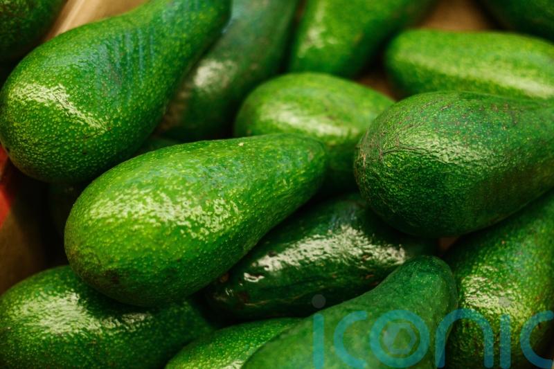 An avocado a week ‘cuts risk of heart disease’ – 8 delicious ways to get more into your diet