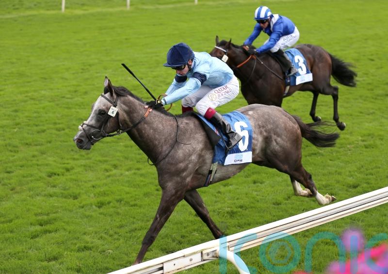 Harrow primed for Blue Trail rematch in Chelmsford cracker