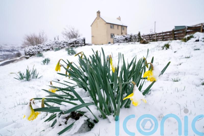 Weather warning issued as sleet, snow and ice forecast to spread across UK
