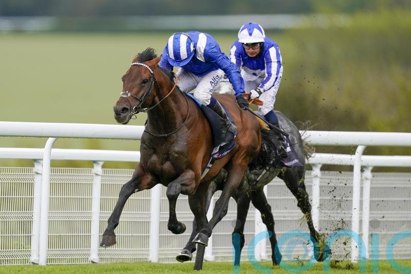 Hukum in good shape after Sheema Classic effort