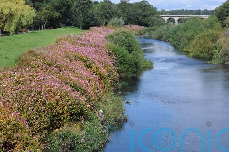Raw sewage dumped into English waters 372,533 times in 2021, figures show