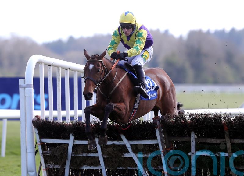 Hanlon thrilled to keep Skyace in his yard