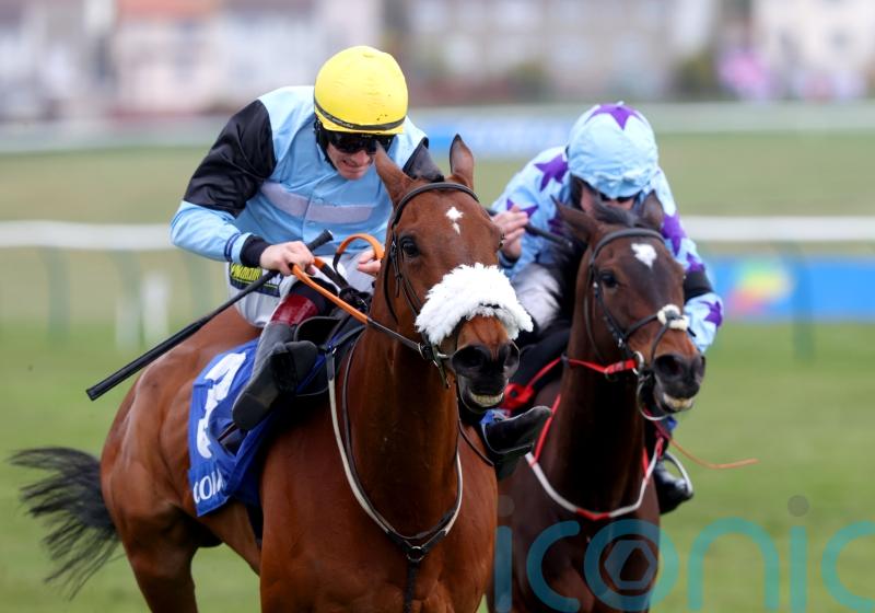 Milkwood all set for Scottish Champion Hurdle defence