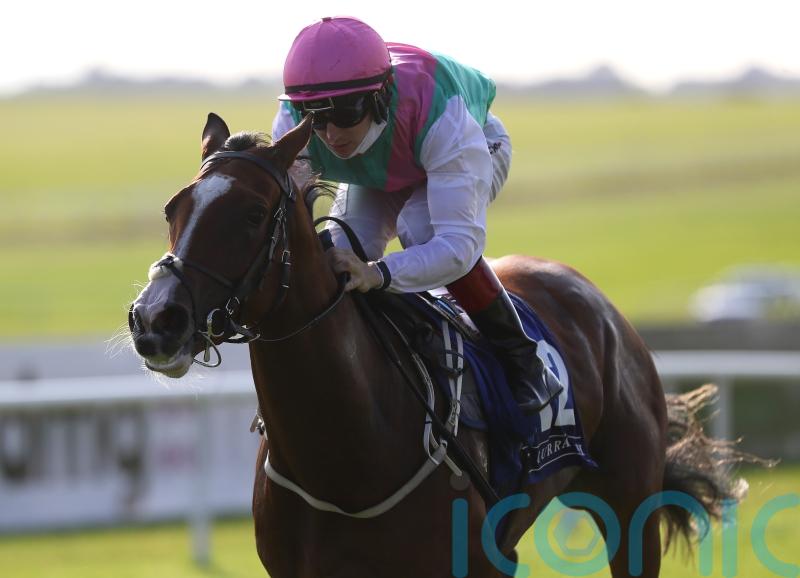 Sacred Bridge on fact-finding mission at Leopardstown