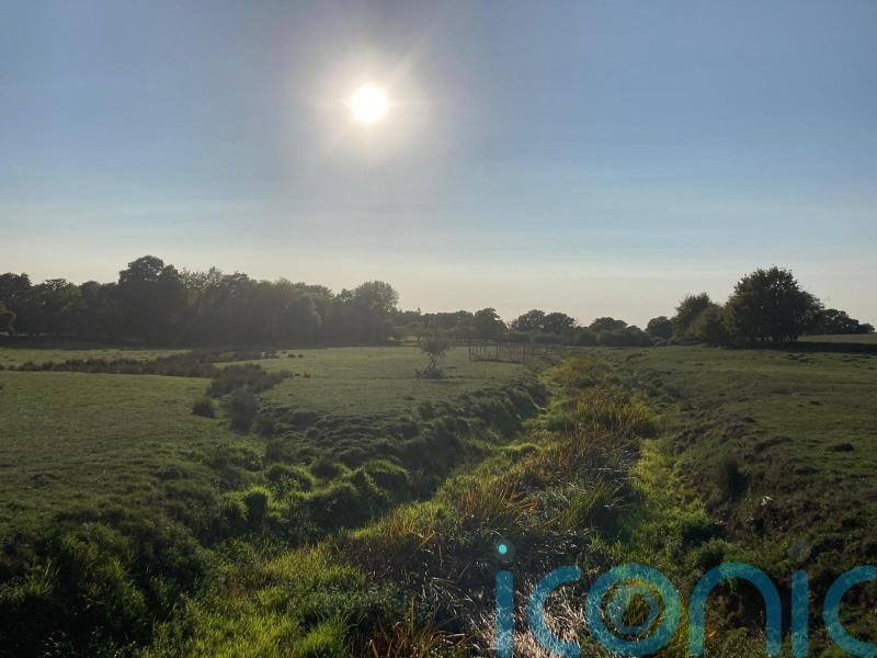 Satellite images show nature thriving at one of UK’s oldest rewilding sites