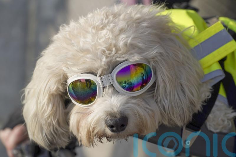 Britain basked in sunniest March in almost a century – Met Office