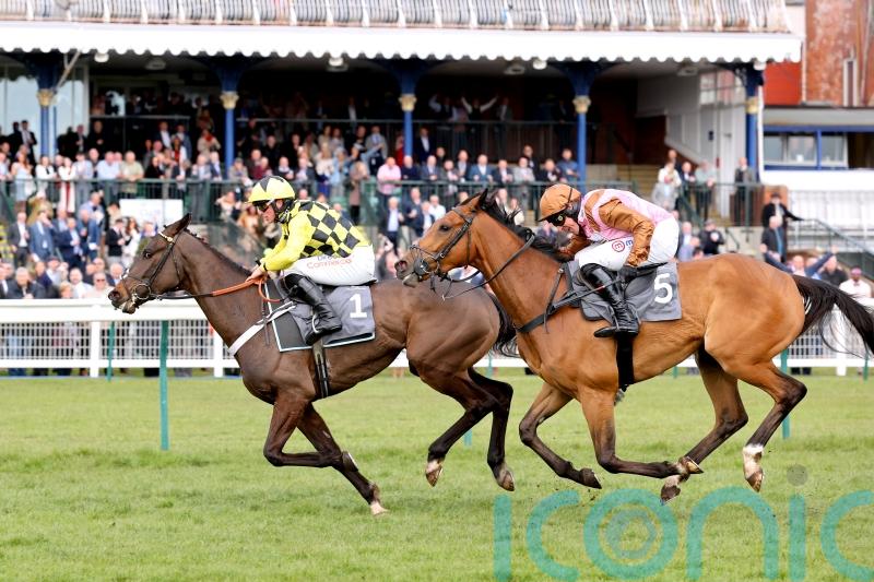Bookmakers reeling as every favourite wins at Ayr