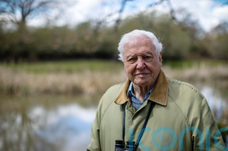Attenborough to tell ‘unheard story’ of prehistoric planet in Apple TV+ series