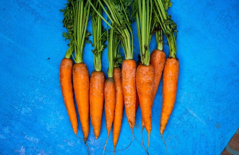 International Carrot Day: 9 weird and wonderful things you didn’t know about the orange vegetable