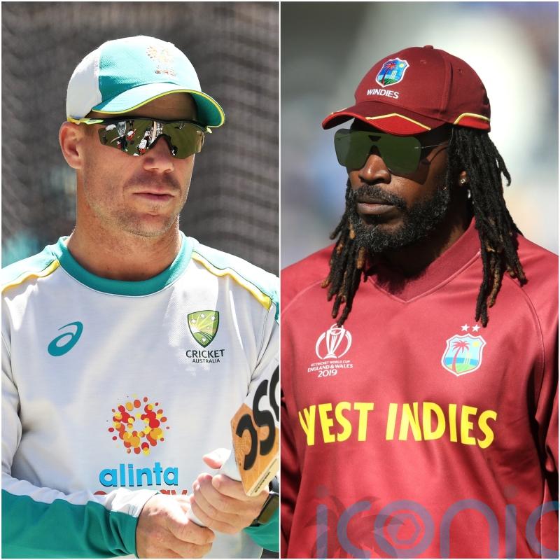 Hundred draft picks to be revealed with Warner and Gayle among top-price names