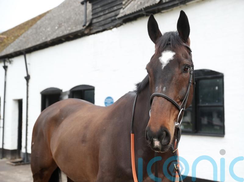 Polly Gundry banking on ‘divine’ Santini’s class to rise to the top