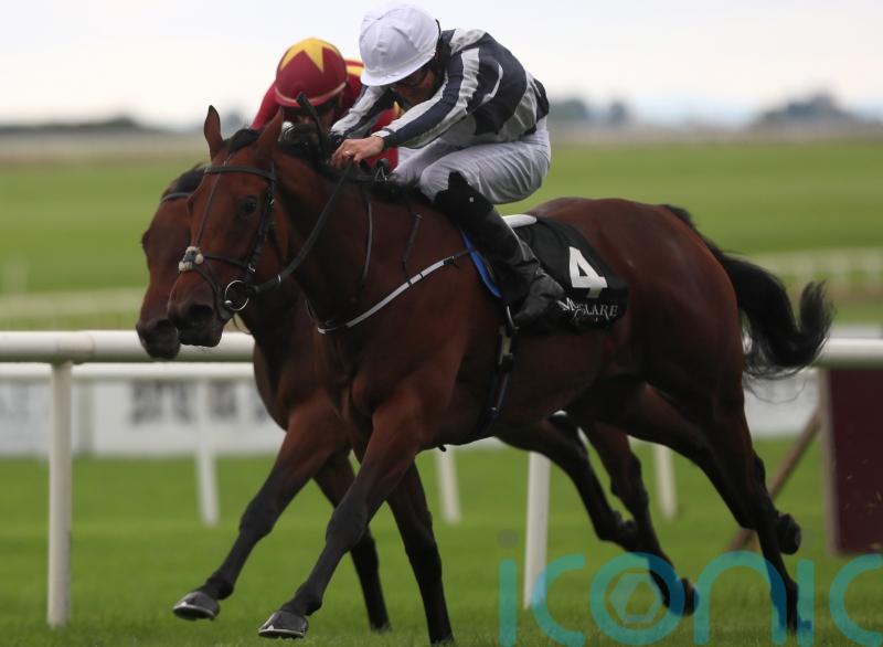 Harrington eyeing up Newmarket for Discoveries