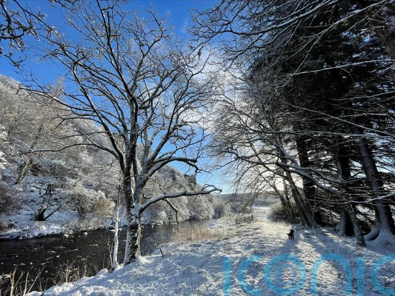 Roads and railways likely to be disrupted by snow as weather warning issued