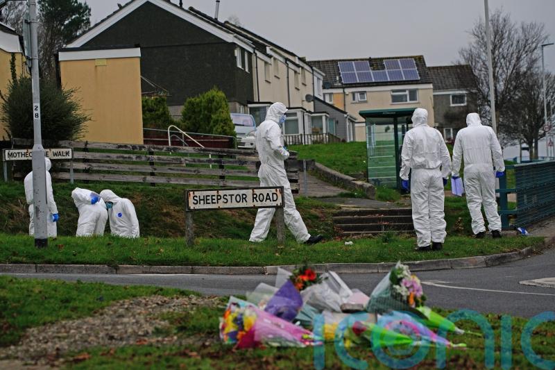 Musician admits murdering teenager Bobbi-Anne McLeod