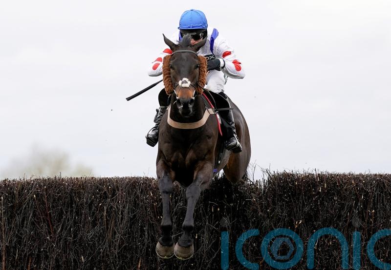 Clan Des Obeaux and Kemboy meet again in Betway Bowl