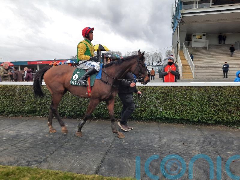 Sizing Pottsie leads Topham tilt for Harrington