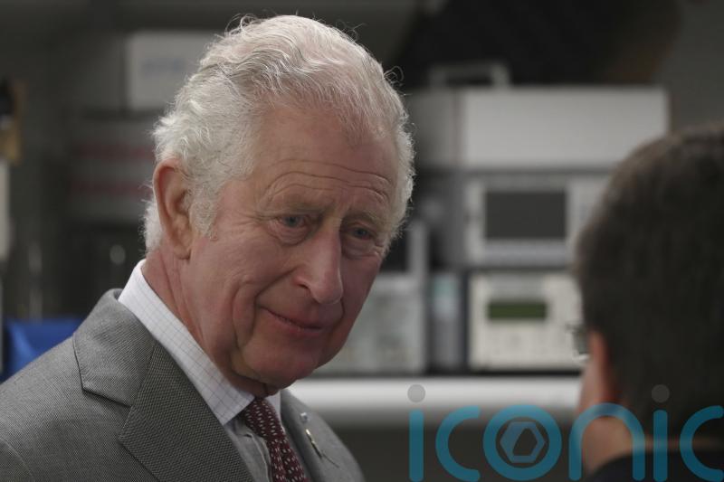 Almost half of Britons think Charles should step aside for William – survey