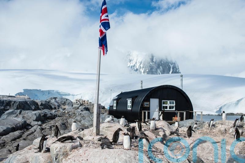 Staff wanted to watch penguins and run gift shop in Antarctica