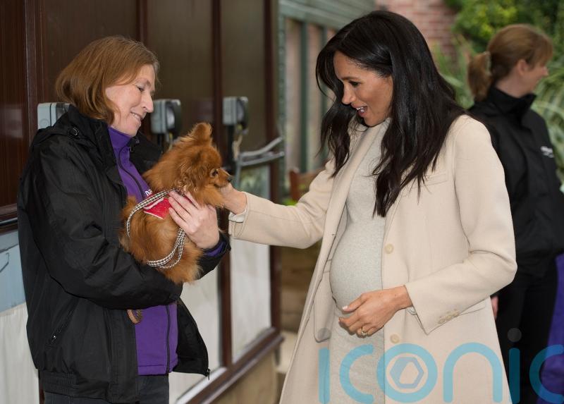 Meghan’s three-year post as animal welfare charity patron has ended
