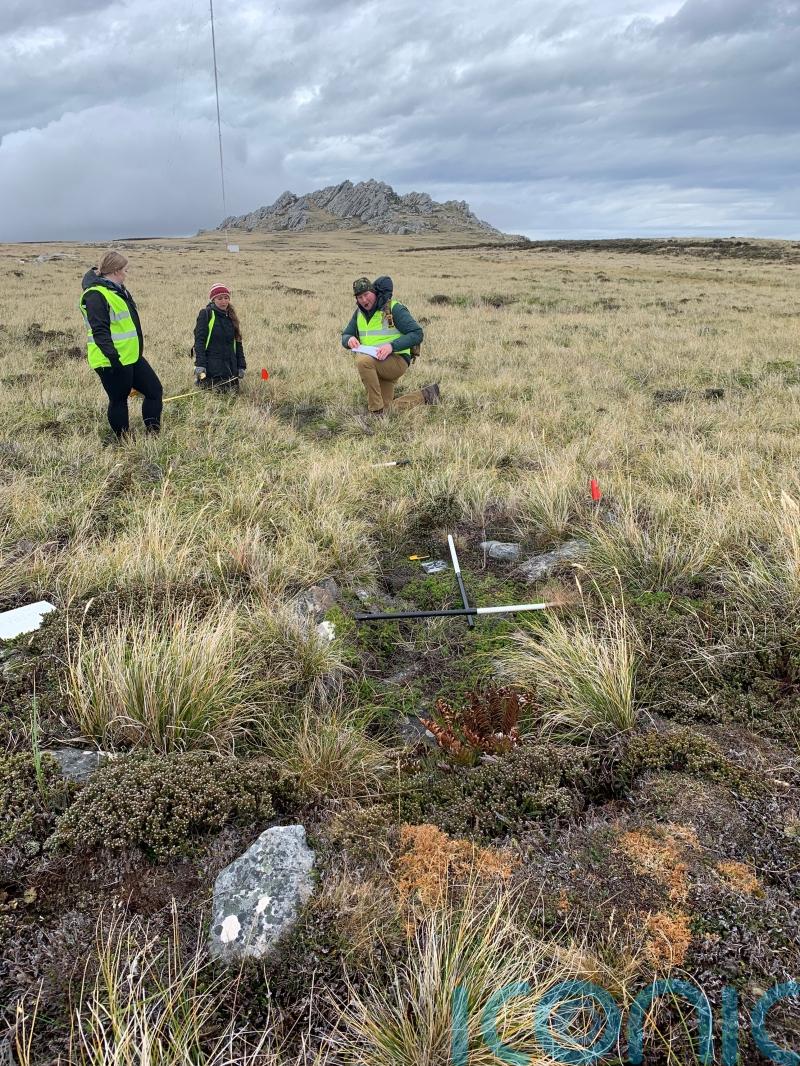 Falklands veterans back on islands to assist survey of battlefields