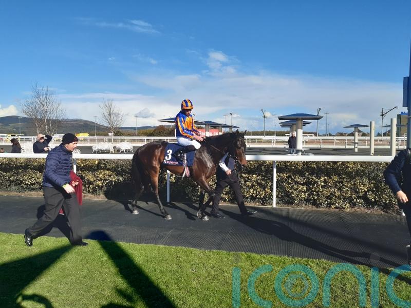 Blackbeard plunders Dundalk prize on debut